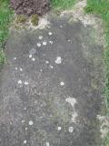 image of grave number 288594